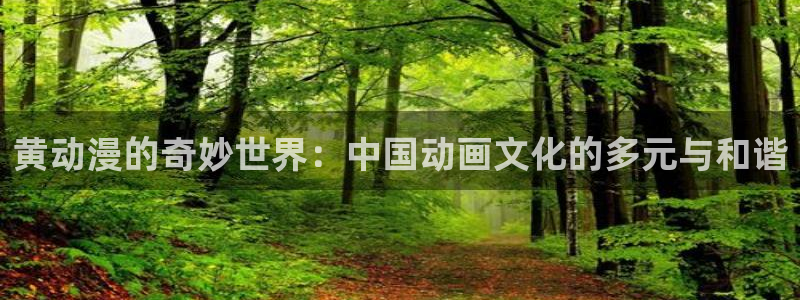 囧次元怎么下载：黄动漫的奇妙世界：中国动画文化的多元与和谐