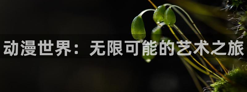 囧次元的官方网站