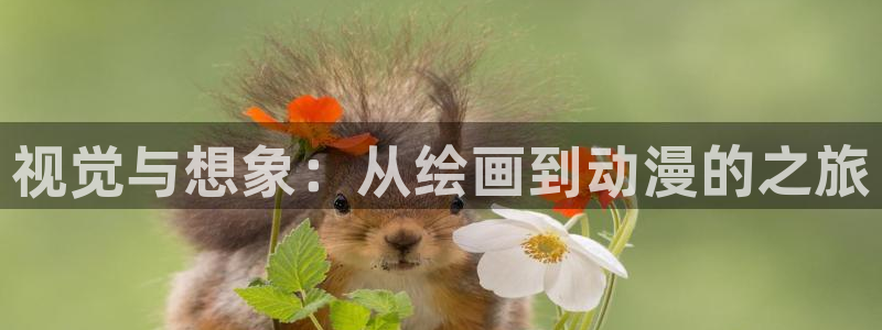 囧次元无广告版下载安装：视觉与想象：从绘画到动漫的之旅
