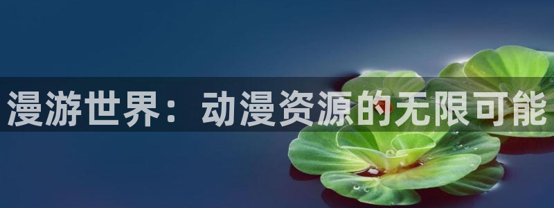 囧次元下载正版：漫游世界：动漫资源的无限可能