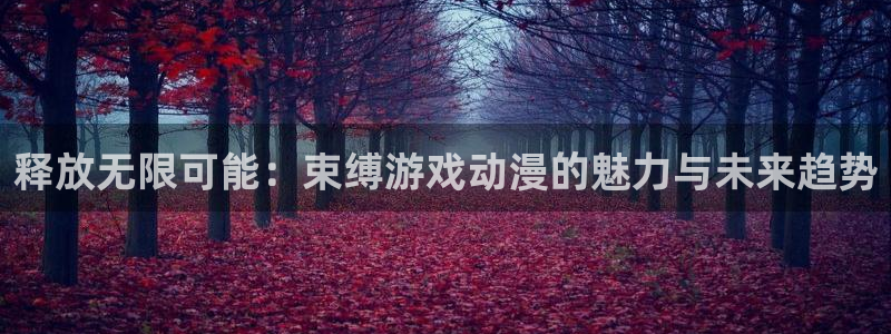 囧次元官方版：释放无限可能：束缚游戏动漫的魅力与未来趋势