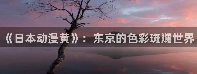 囧次元的官方网站：《日本动漫黄》：东京的色彩斑斓世界