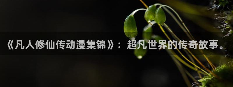 囧次元在哪下：《凡人修仙传动漫集锦》：超凡世界的传奇故事。