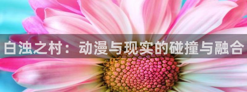 囧次元可看片子版：白浊之村：动漫与现实的碰撞与融合