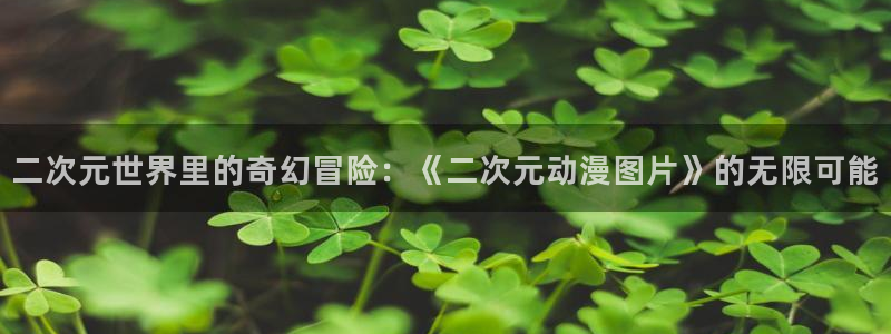 囧次元1：二次元世界里的奇幻冒险：《二次元动漫图片》的无限可能