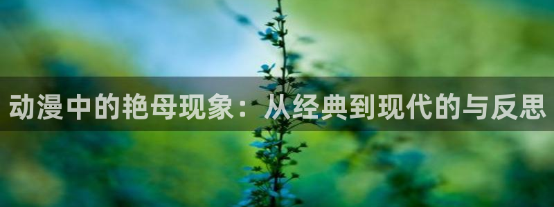 囧次元app免费下载：动漫中的艳母现象：从经典到现代的与反思